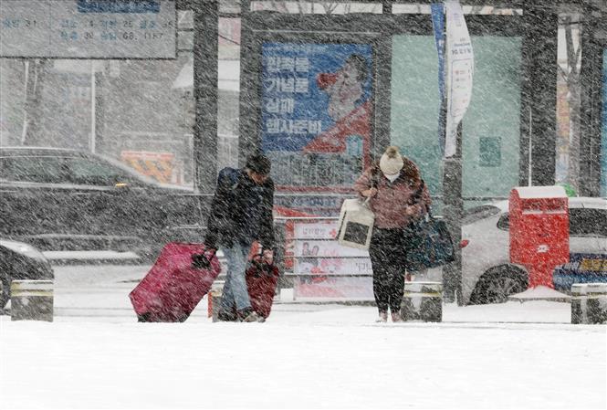 Tuyết rơi dày đặc tại Gwangju, Hàn Quốc ngày 24-1. Ảnh: TTXVN