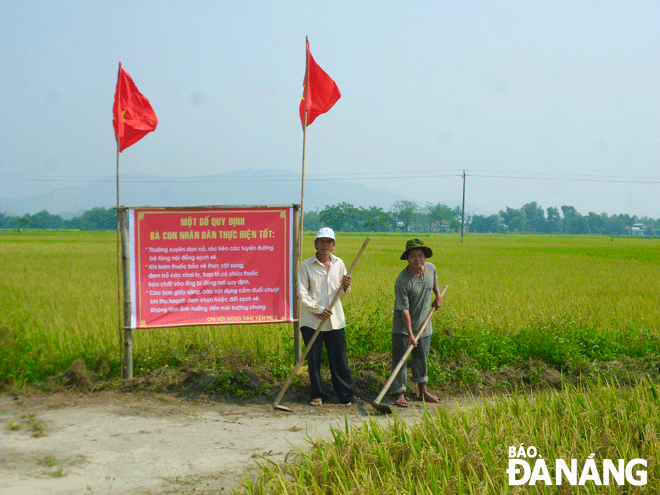 Bảo vệ môi trường trên cánh đồng - Nông dân tại thôn Yến Nê 2 (xã Hòa Tiến) thực hiện tốt các tiêu chí của mô hình 