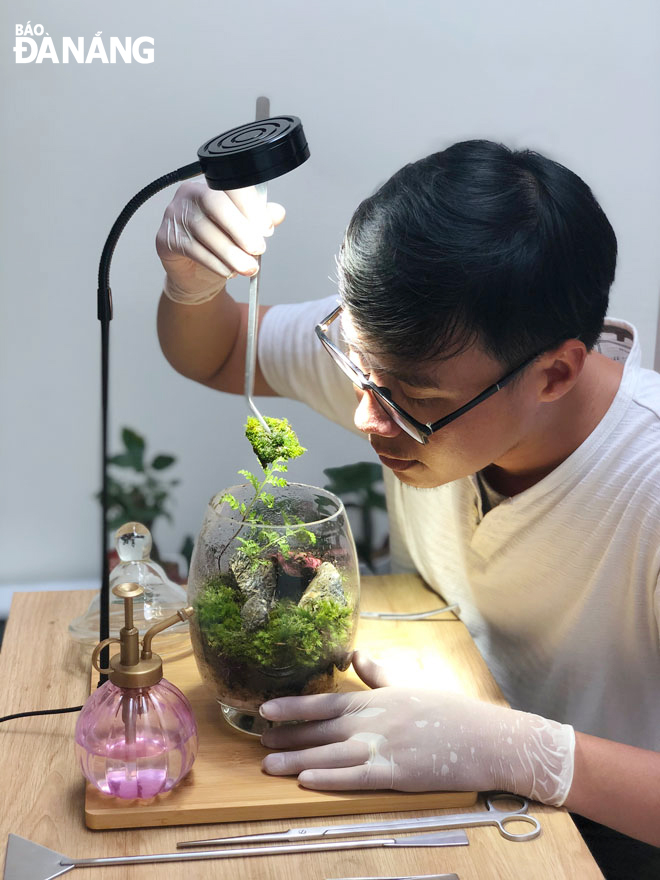 Anh Nguyễn Mai Hạ đang đưa những mảng rêu nuôi từ bên ngoài vào bể terrarium. Ảnh: T.V