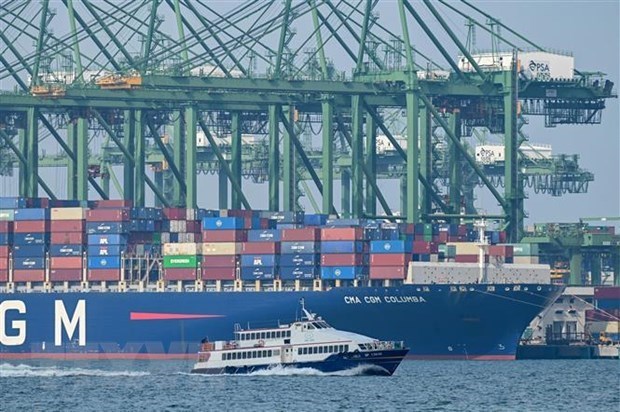 A cargo vessel at Pasir Panjang Terminal of Singapore (Photo: AFP/VNA)