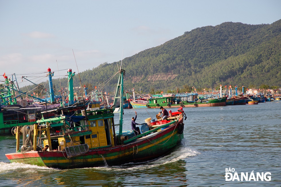 Thanks to sunny weather, the fishermen set sail in the hope of bumper catches of seafood for the whole year