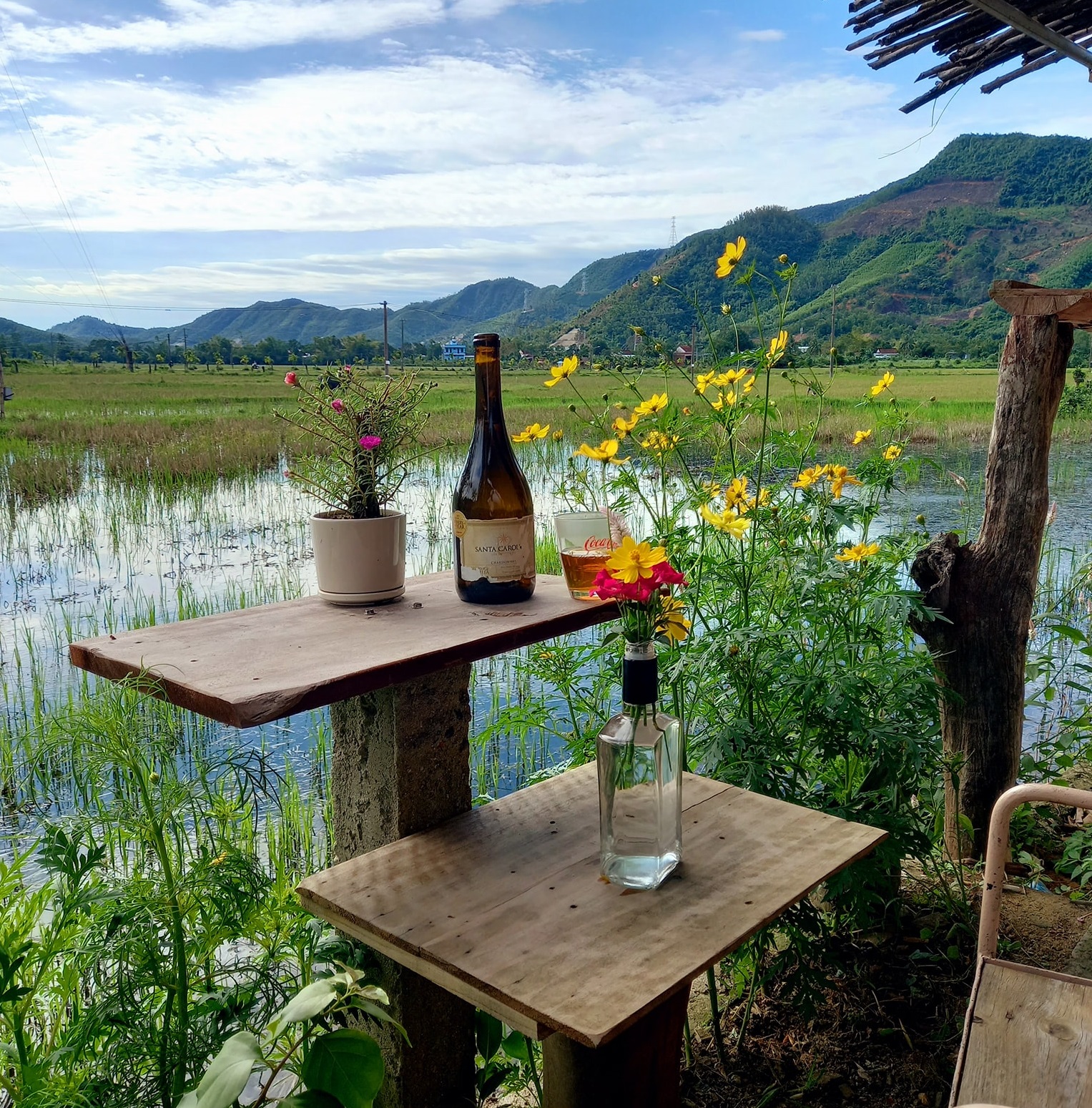 View is seen from the Lua Coffee House in Hoa Bac Commune, Hoa Vang District, Da Nang. Photo courtesy of the Lua Coffee House