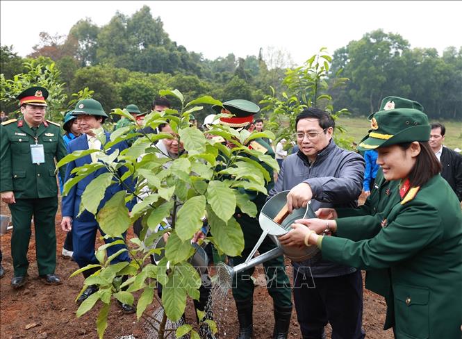 Thủ tướng Phạm Minh Chính trồng cây tại Lễ phát động “Tết trồng cây đời đời nhớ ơn Bác Hồ” tại Khu Di tích K9 (Đá Chông), huyện Ba Vì, thành phố Hà Nội, sáng 27/1/2023. Ảnh: Dương Giang/TTXVN