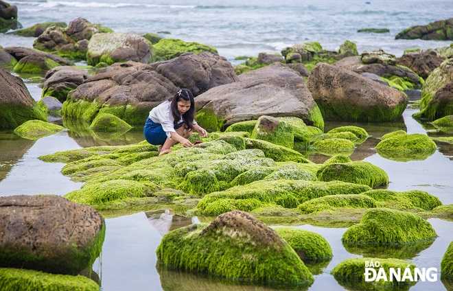 Một cô gái đang đứng giữa một phiếm đá được phủ đầy rêu xanh để sáng tác ảnh vào chiều 9-2. Ảnh: CHÁNH LÂM