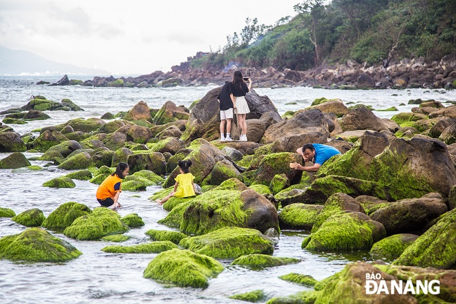 A father is seen recording moments for his daughters on the rocks covered with green moss. Photo: CHANH LAM