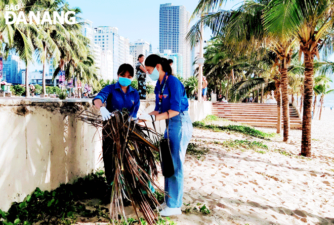 Many models and activities have been organised to respond to environmental protection, including preserving the marine environment. Youth union members are pictured picking up trash and preserving the marine environment. Photo: THU HA