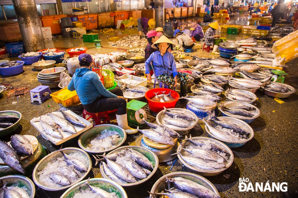 The Tho Quang Fish Market opens from about 11:00pm until 8:00am
