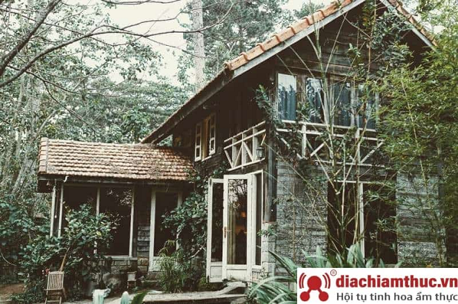 Khám phá các homestay Đà Lạt giá rẻ, chất lượng tại địa chỉ ẩm thực