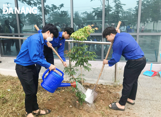 Đoàn viên trên địa bàn quận Sơn Trà tham gia trồng cây xanh.  Ảnh: T.L