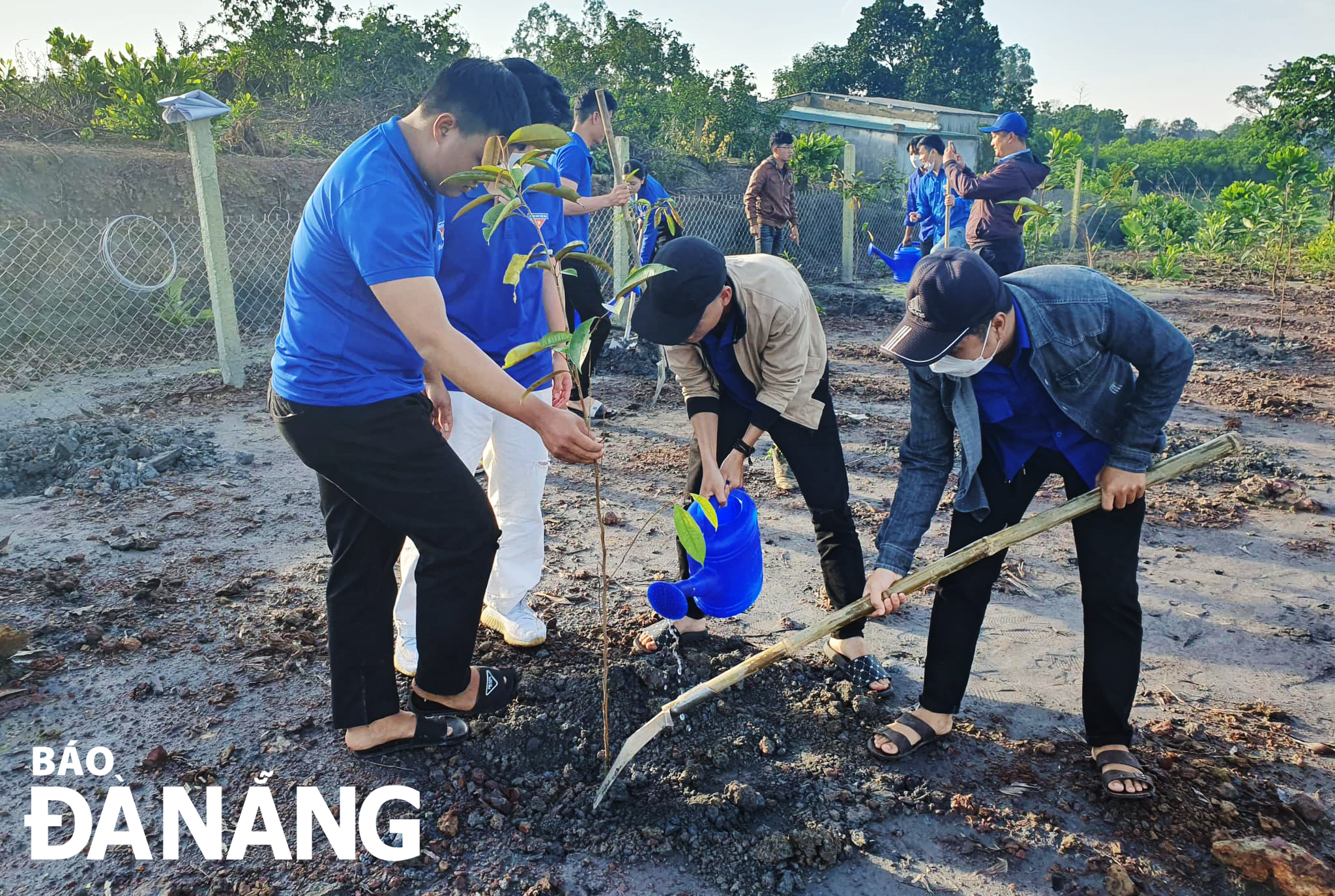 Đoàn viên, thanh niên chung tay trồng các loại cây ăn quả do Huyện Đoàn Hòa Vang trao tặng trên mảnh vườn của đoàn viên Trần Văn Trường (xã Hòa Khương, huyện Hòa Vang). Ảnh: N.Q