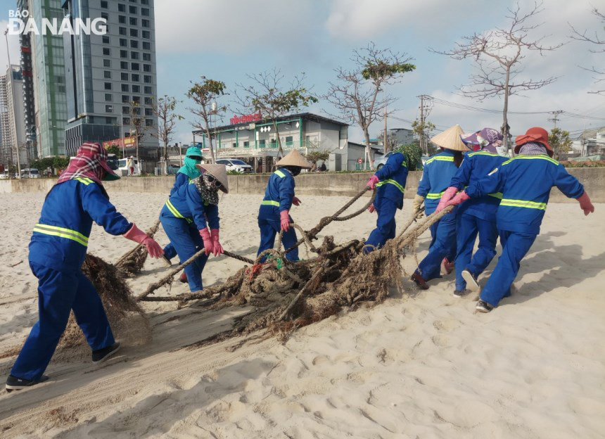 Các công nhân của Xí nghiệp Môi trường Sông biển đưa các loại lưới do ngư dân vứt bỏ lên bờ.