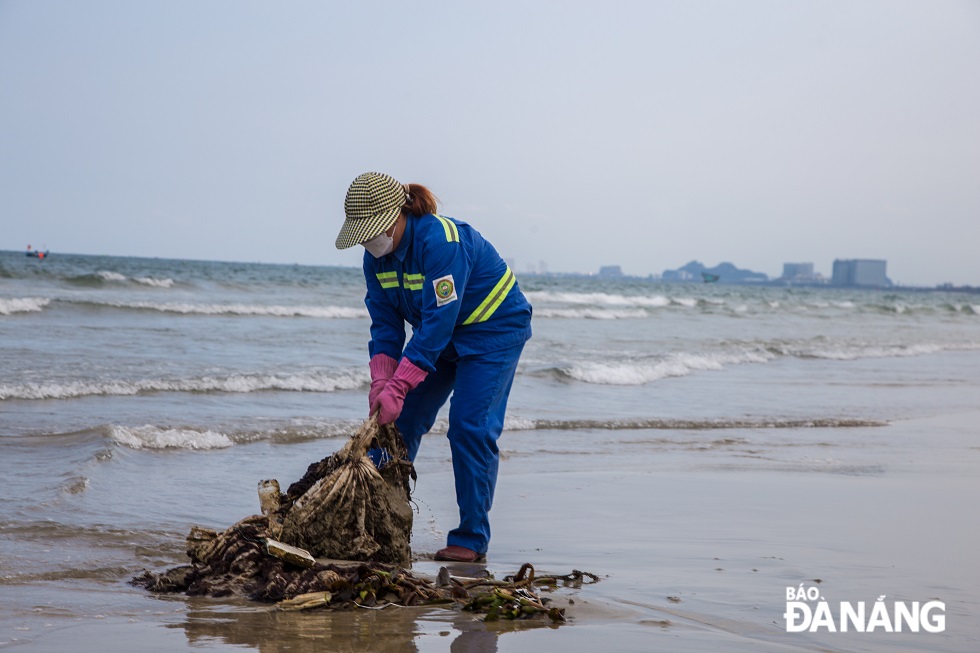 To keep local beaches clean and beautiful, the team of sanitation workers carry out their cleaning work from early morning to noon, then they will return to work at 3:00pm on the same day.