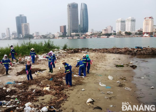 Công nhân Xí nghiệp Môi trường Sông biển thu gom rác tại một bãi bồi sát bờ đông sông Hàn. Ảnh: HOÀNG HIỆP