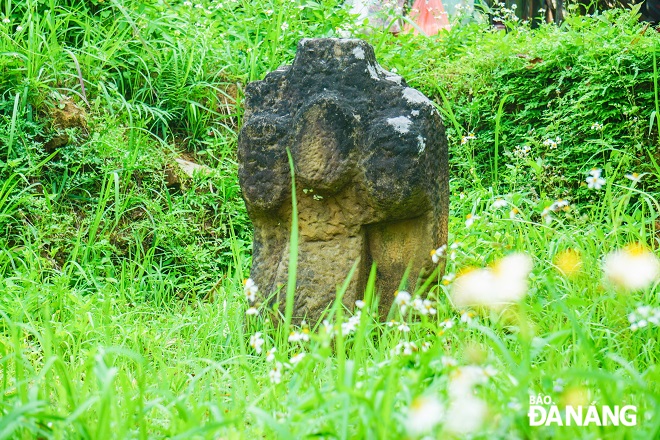Nhiều hòn đá được điêu khắc với hình thù từ văn hoá xưa.