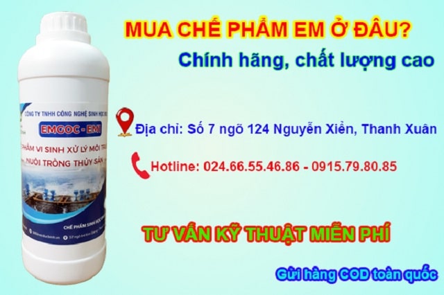 Chế phẩm EM mở ra trang mới cho nông nghiệp Việt Nam: Chuyên gia nói gì?