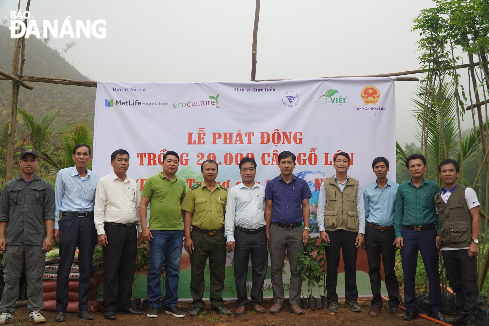 GreenViet handed over 20,000 large trees to farmers in Hoa Lien Commune at the launching ceremony on April 15. Photo: VAN HOANG