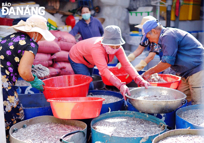 Lien Chieu District Authority is calling on residents of the Nam O fish sauce making village to participate in the Nam O community-based tourism project. Photo: HUYNH LE
