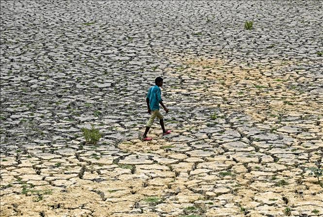 Lòng sông khô cạn do các đợt nắng nóng và hạn hán kéo dài tại New Delhi, Ấn Độ. Ảnh: AFP/TTXVN