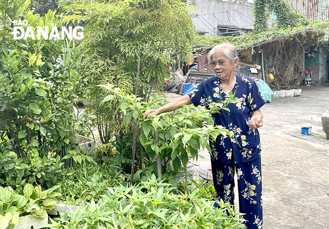 Thương binh hạng 1/4 Phùng Thị Nữ chăm chuốt cho mảnh vườn nhỏ của mình. Ảnh: N.QUANG