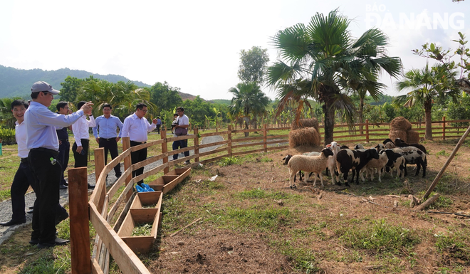 Visitors at the Bana Rita Glamping Farm. Photo: M.Q