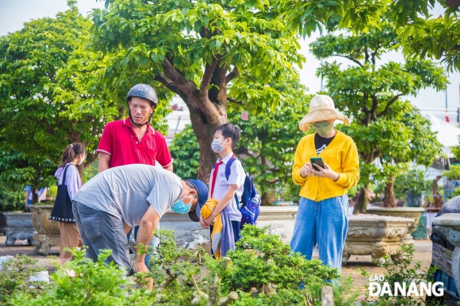 Du khách thưởng ngoạn ngày hội triển lãm cây cảnh.