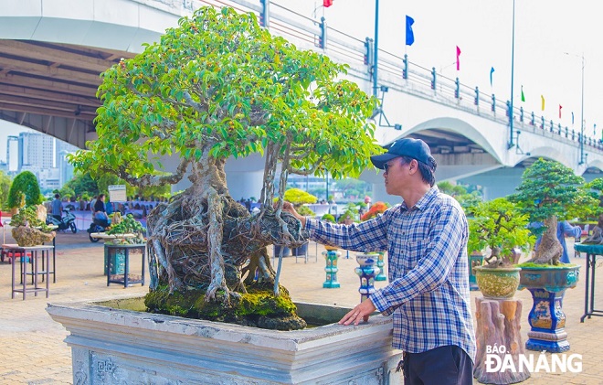 According to Mr. Bui Quoc Bao, 46, hailing from Quang Nam Province, in order to have bonsai pots with such a unique shape like this, the bonsai caretaker must really have a passion for bonsai.