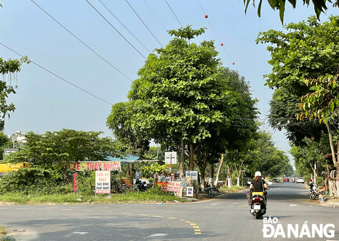 Cần cải tạo, chỉnh trang đường 29 Tháng 3