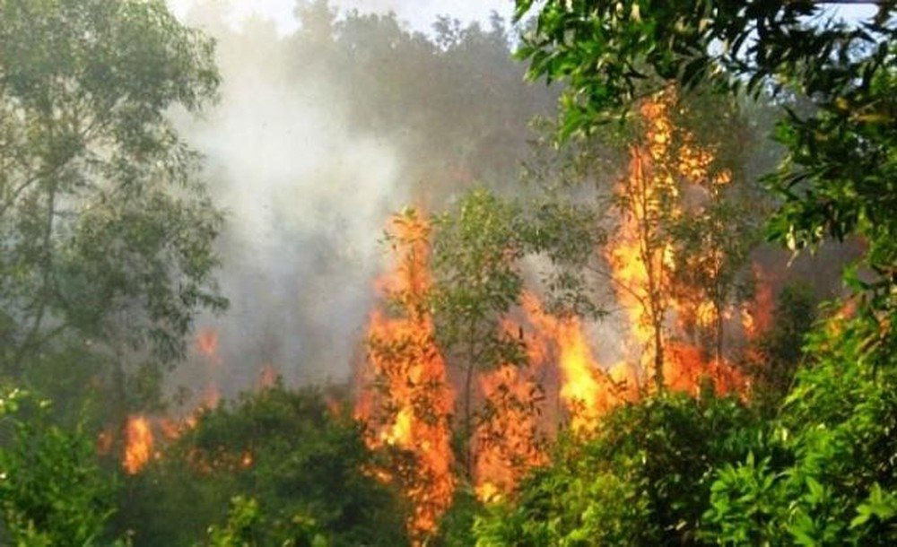 Nắng nóng gay gắt, tiềm ẩn nguy cơ cháy rừng
