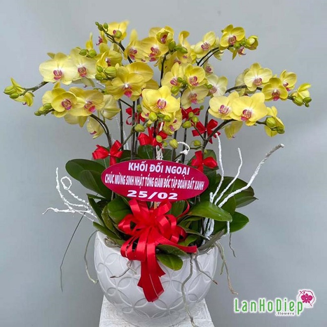 Lanhodiep.flowers - Đặt chậu Lan Hồ Điệp giá rẻ, uy tín, giao hàng tận nơi tại TP. Hồ Chí Minh