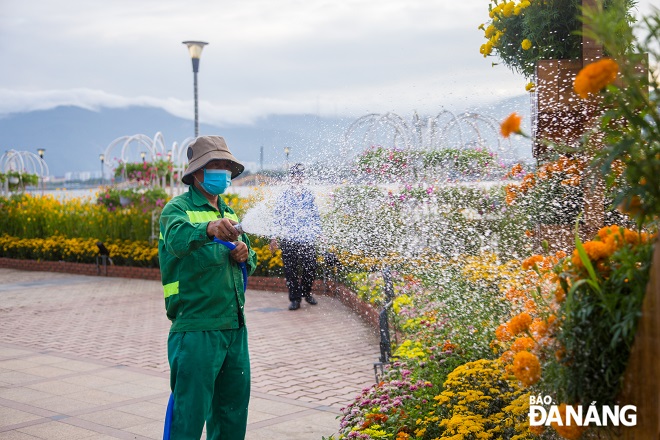  Flowers are watered twice a day to ensure their freshness.