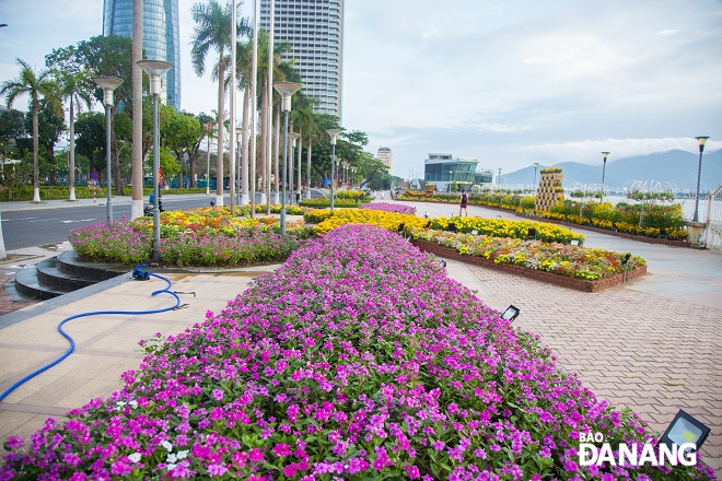  Unique flower street on Bach Dang Street during this year's festival.