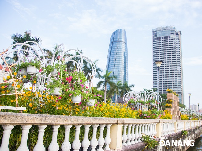  Bach Dang flower street is more sparkling in the early morning.