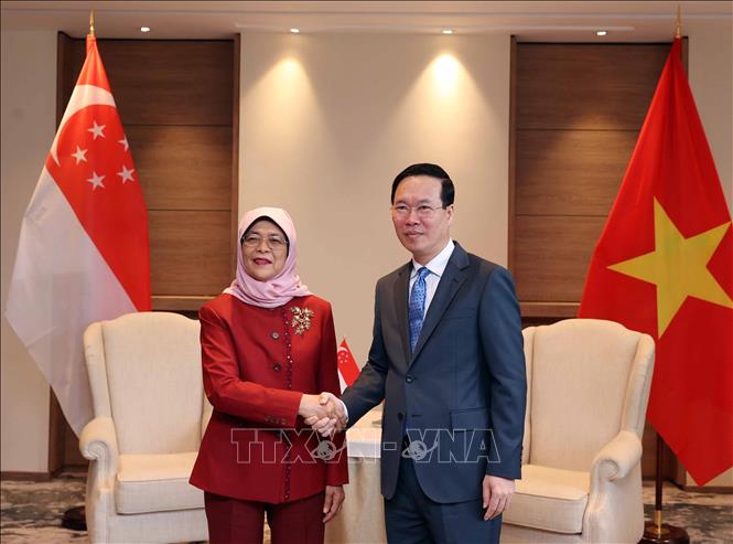 Chủ tịch nước Võ Văn Thưởng gặp Tổng thống Singapore Halimah Yacob. Ảnh: Thống Nhất/TTXVN