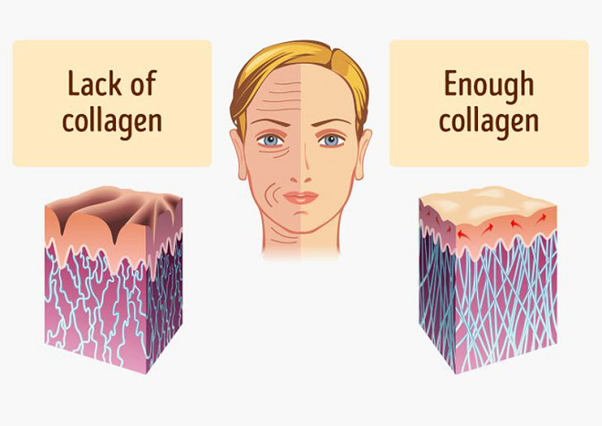 Nguyên tắc khi sử dụng collagen.