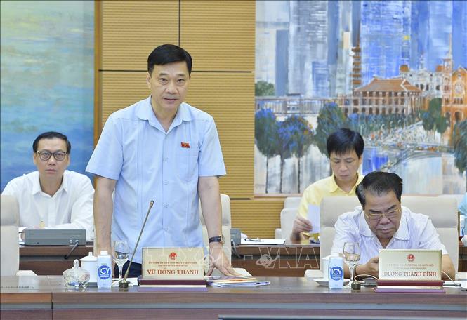 Chủ nhiệm Ủy ban Kinh tế của Quốc hội Vũ Hồng Thanh phát biểu. Ảnh: Minh Đức/TTXVN