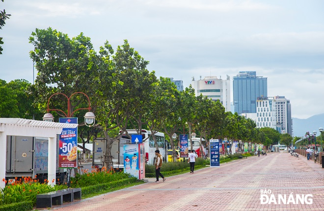 In the mid-May days, the tamanu flowers are bright and fragrant in a windy afternoon, creating a clean, bright and cool space for those who come here.