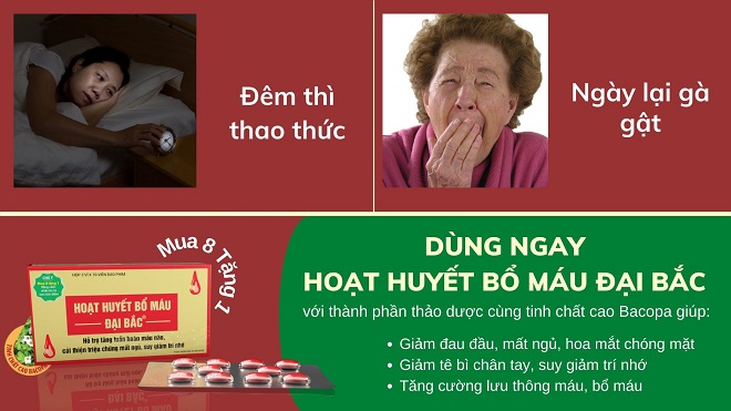 Hoạt huyết bổ máu Đại Bắc hỗ trợ cải thiện chứng mất ngủ.