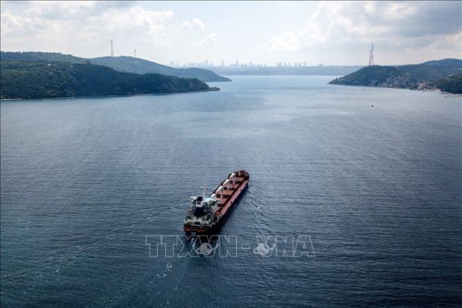 Tàu chở ngũ cốc di chuyển dọc Eo biển Bosphorus tại Istanbul, Thổ Nhĩ Kỳ. Ảnh tư liệu: AFP/TTXVN