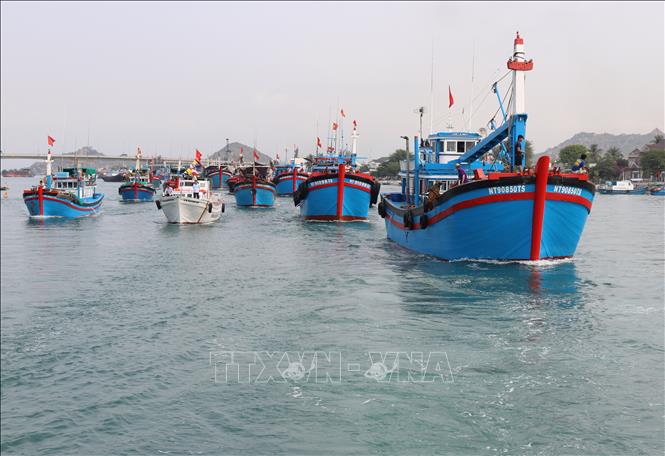  Đội tàu cá của tỉnh Ninh Thuận vươn khơi khai thác hải sản. Ảnh minh họa: Nguyễn Thành/TTXVN