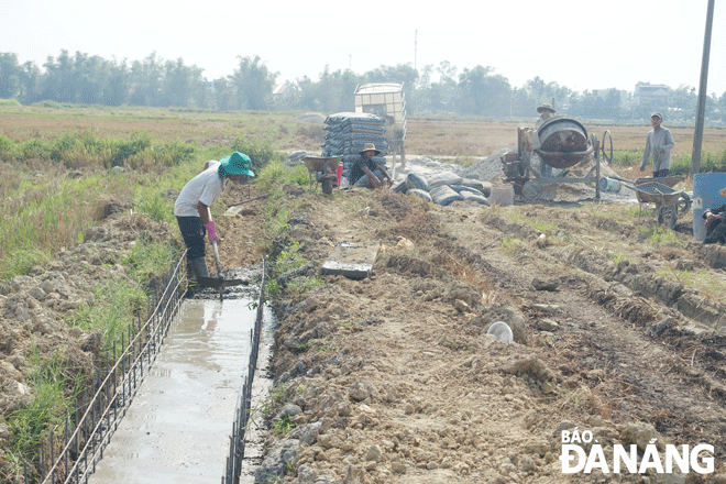 Huyện Hòa Vang đã và đang xây dựng các tuyến mương thủy lợi thay thế các mương đất trên nhiều cánh đồng để tiết kiệm nước tưới. Ảnh: H.H