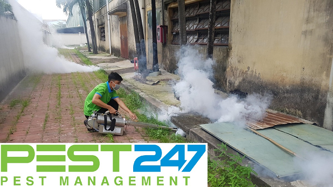 Khử Trùng Xanh GFC - công ty diệt côn trùng uy tín, chuyên nghiệp tại Đà Nẵng