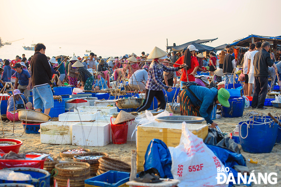 Thương lái mua hải sản đầu mối rồi hối hả di chuyển tới các khu chợ khắp tỉnh Quảng Nam.	