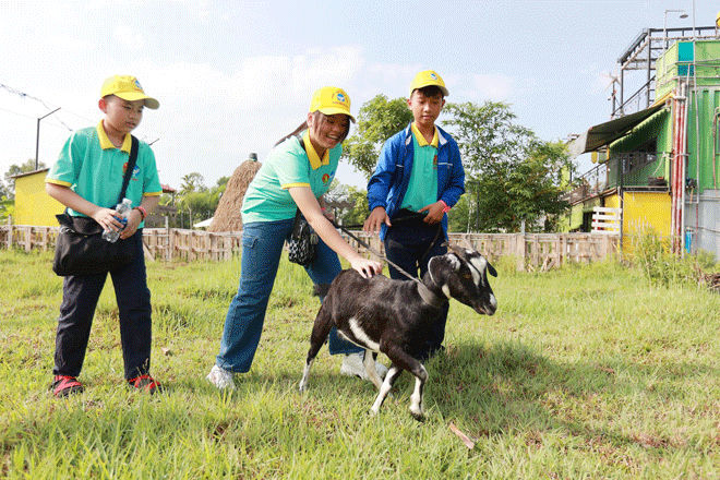 Các em thiếu nhi đang sinh hoạt tại Cung Thiếu nhi tham gia chương trình “Trải nghiệm một ngày làm nông dân” ngày 4-6. Ảnh: Cung Thiếu nhi