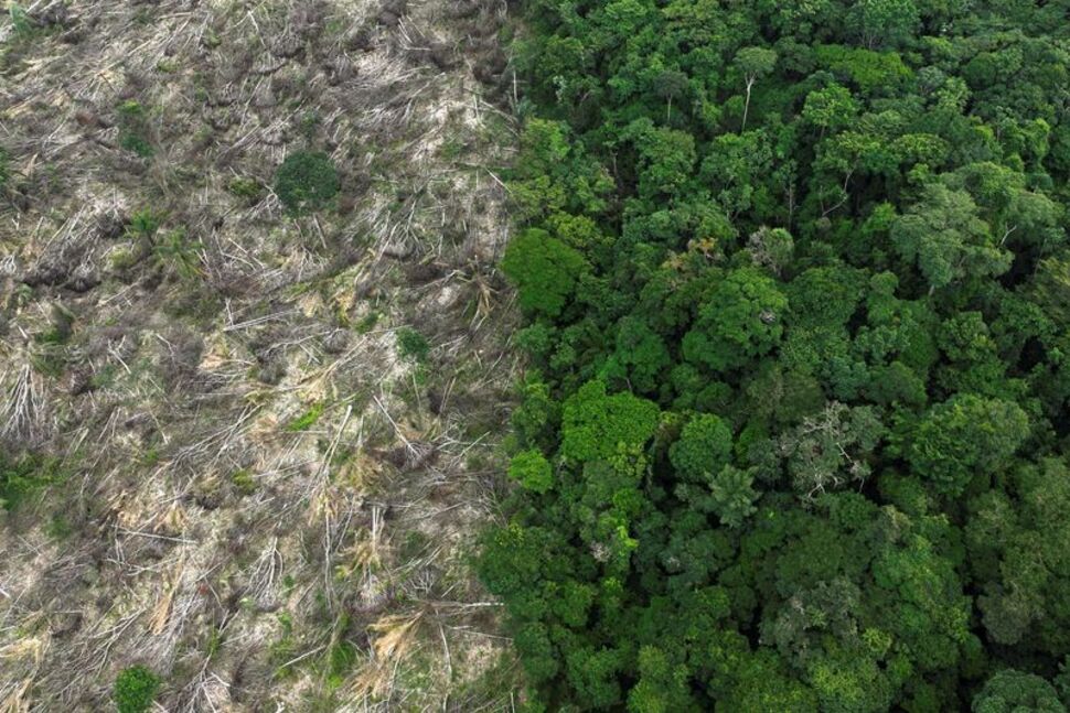 Một khu vực rừng bị phá ở gần Uruara, bang Para (Brazil) hồi tháng 1-2023.  Ảnh: Reuters