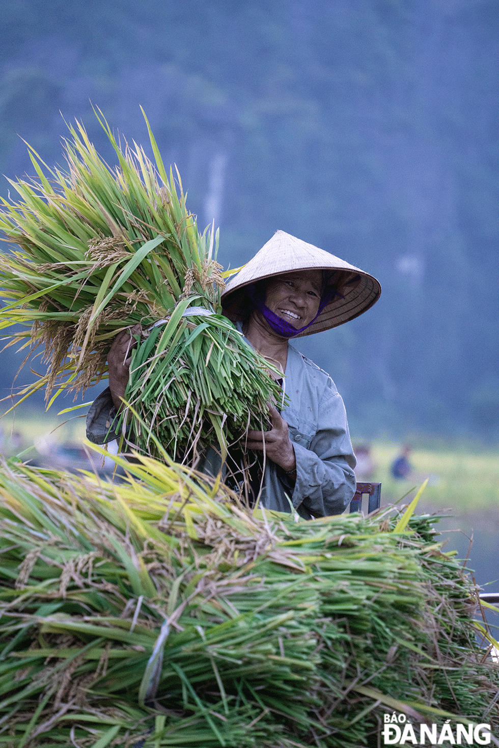 Niềm vui ngày mùa.