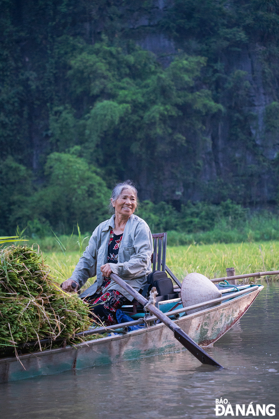 Chở lúa về nhà.