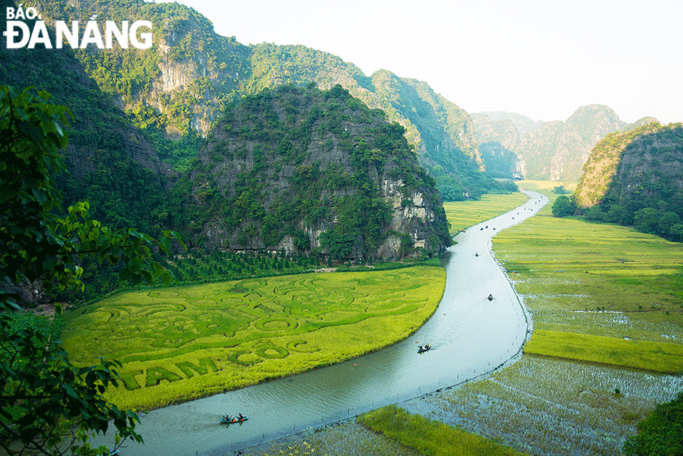 Năm nay, ngành du lịch tỉnh Ninh Bình đã cho tạo hình bức tranh dân gian Lý ngư vọng nguyệt (Cá chép trông trăng) khổng lồ trên ruộng lúa để thu hút du khách. 