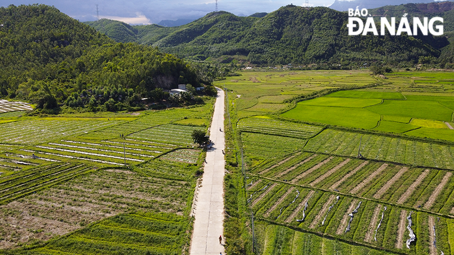 Được biết, do thời tiết năm nay có nhiều thay đổi nên sản lượng dưa ở thôn Trường Định không được như mong đợi.