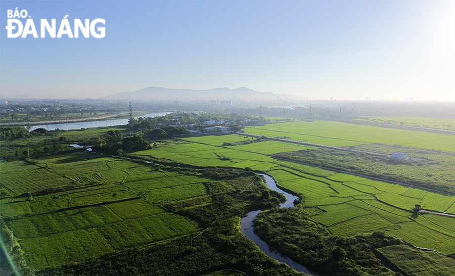 Vùng đất Cẩm Nê mang trong mình nhiều giá trị lịch sử, văn hóa, có lịch sử khai phá lập làng lâu đời, cùng với nghề dệt chiếu truyền thống nổi tiếng. Do vậy, đình Cẩm Nê sẽ góp phần tạo nên sức hút đối với du khách khi đến tham quan và tìm hiểu về làng Cẩm Nê.