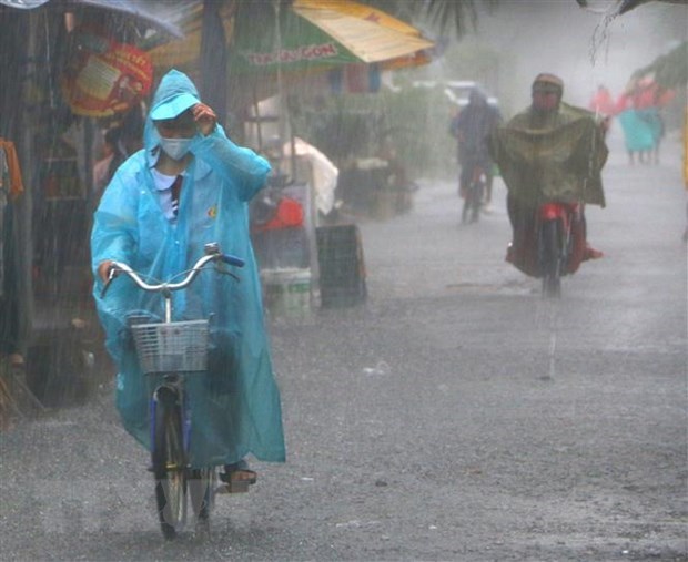 Bắc Bộ có mưa, có nơi mưa rất to và dông. (Ảnh: Duy Khương/TTXVN)